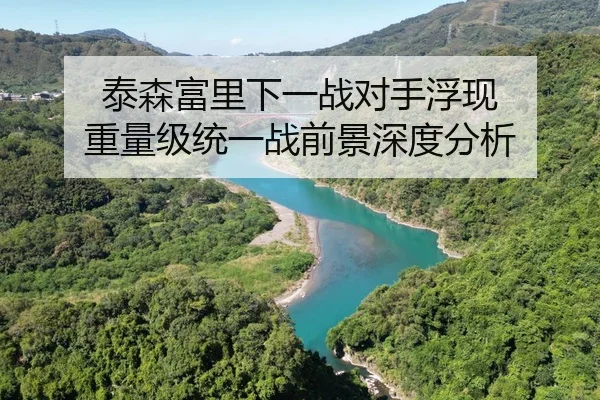 泰森富里下一战对手浮现 重量级统一战前景深度分析